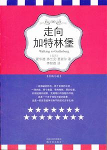 走向加特林堡:长篇小说