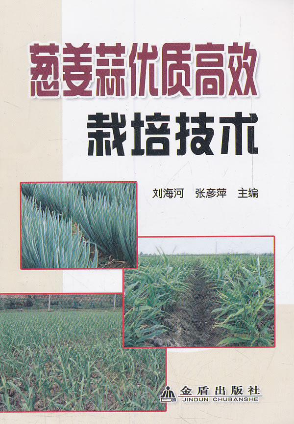 葱姜蒜优质高效栽培技术