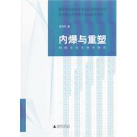 内爆与重塑-网络文化主体性研究