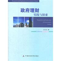 政府理财实践与探索