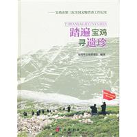 踏遍宝鸡寻遗珍
