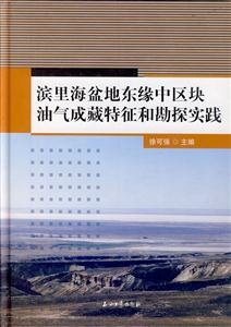 滨里海盆地东缘中区块油气成藏特征和勘探实践