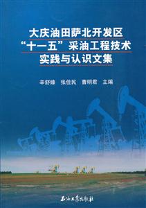 大庆油田萨北开发区十一五采油工程技术实践与认识文集