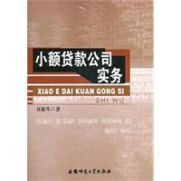 小额贷款公司实务