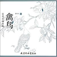 禽鸟-实用白描画稿