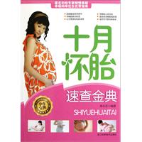 十月怀胎速查金典