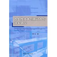 内生性技术创新动力与效率研究