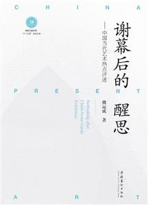 谢幕后的醒思-中国当代艺术热点评述