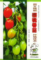 图文精解樱桃番茄种植技术