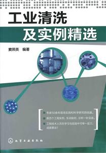 工业清洗及实例精选