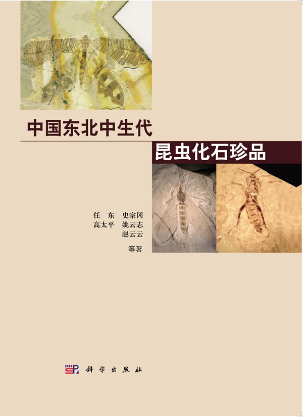中国东北中生代昆虫化石珍品