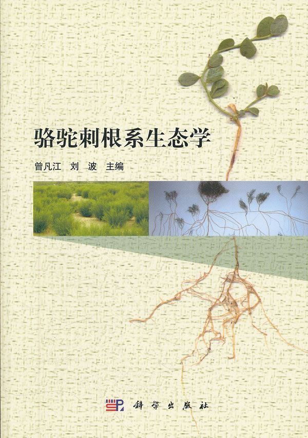 骆驼刺根系生态学