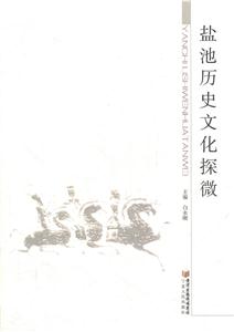 盐池历史文化探微