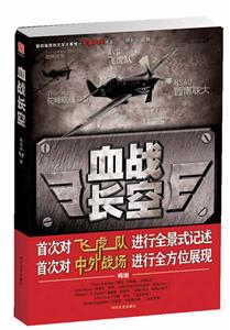 血战长空