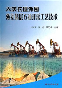 大庆长垣外围薄差储层石油开采工艺技术