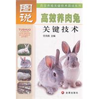 ЧBPIg