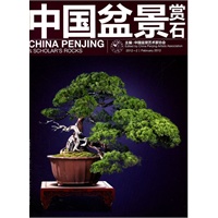 中国盆景赏石-2012-2