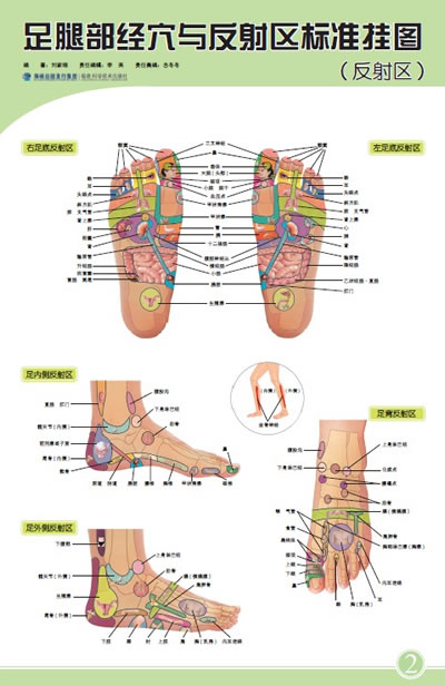 足腿部经穴与反射区标准挂图-(含挂图2张.说明书1份)