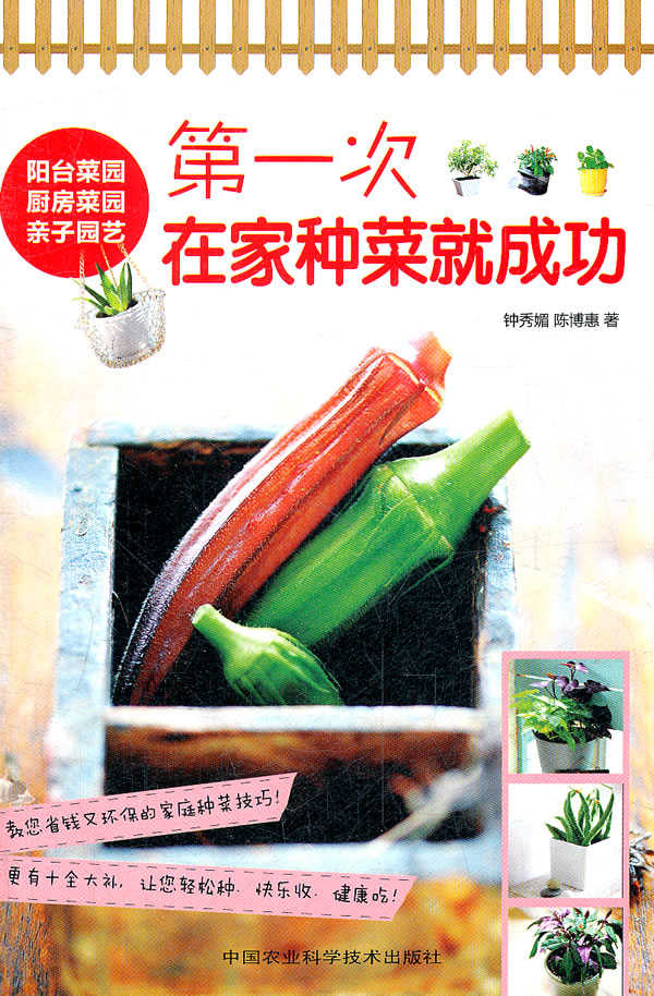 第一次在家种菜就成功