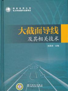 大截面导线及其相关技术