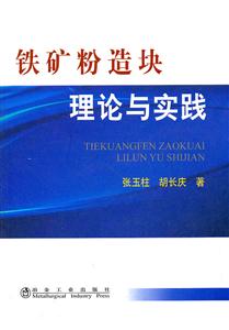 铁矿粉造块理论与实践