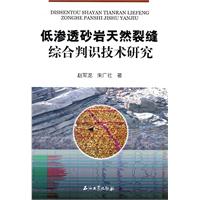 低渗透砂岩天然裂缝综合判识技术研究