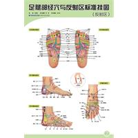 足腿部经穴与反射区标准挂图-(含挂图2张.说明书1份)