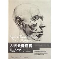 人物头像结构形态学