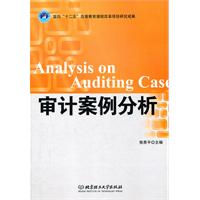 审计案例分析