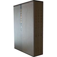 肩水金关汉简-壹(全三册)