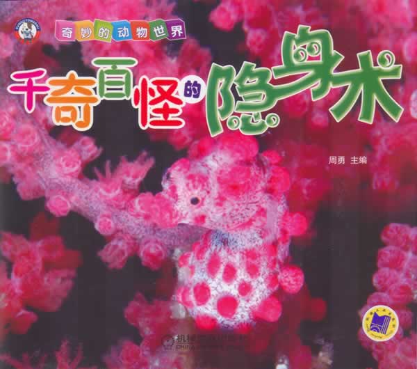 千奇百怪的隐身术-奇妙的动物世界