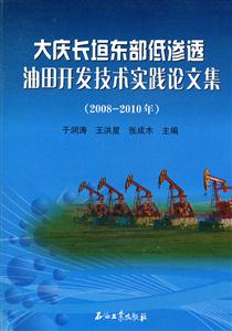 008-2010年-大庆长垣东部低渗透油田开发技术实践论文集"