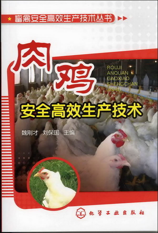 肉鸡安全高效生产技术