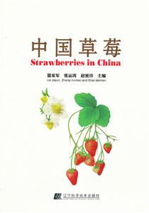 中国草莓