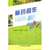 林药间作