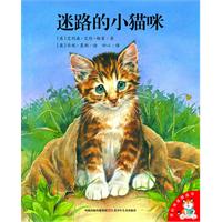 迷路的小猫咪-爱的味道图画书