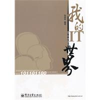 我的IT世界