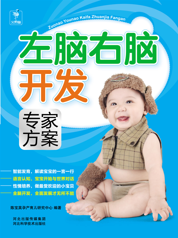 左脑右脑开发-专家方案