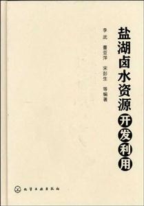 盐湖卤水资源开发利用