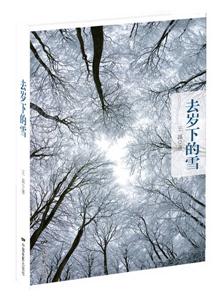 去岁下的雪