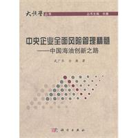 关于全面风险管理应用和管理的大学毕业论文范文