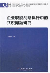 企业职能战略执行中的共识问题研究