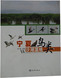 宁夏沙湖湿地鸟类