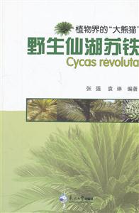 植物界的大熊猫野生仙湖苏铁