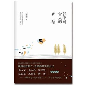 我不可告人的乡愁
