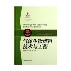 气体生物燃料技术与工程