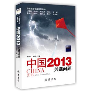 中国2013-关键问题