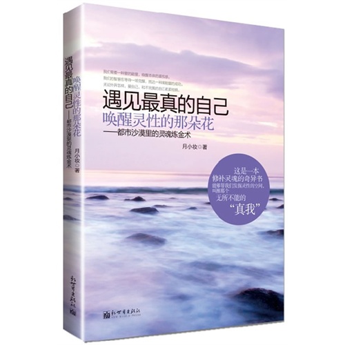 遇见最真的自己-唤醒灵性的那朵花-都市沙漠里的灵魂炼金术