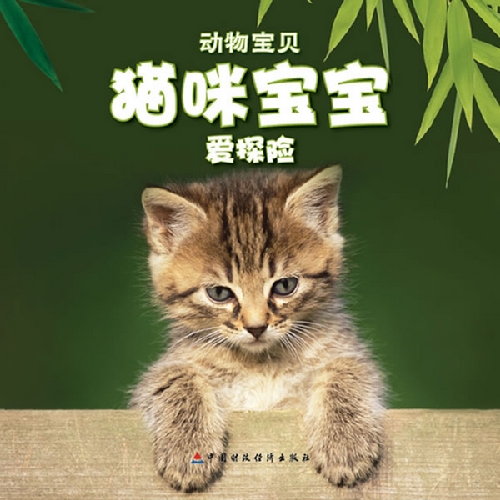 猫咪宝宝爱探险-动物宝贝-送自己动手涂涂看