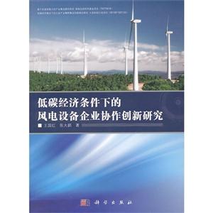 低碳经济条件下的风电设备企业协作创新研究